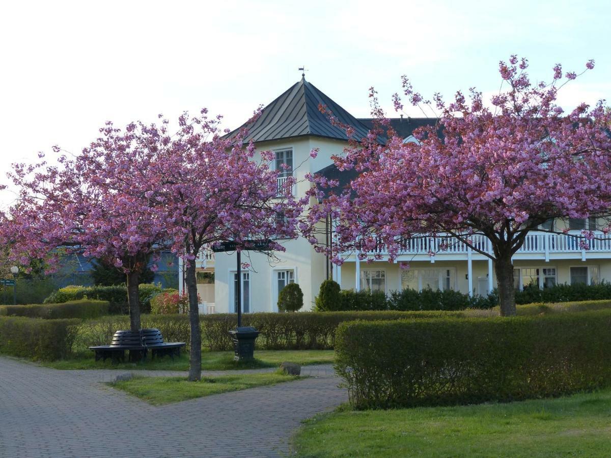 Duenenpark In Binz Fuer Eltern Und Kind Apartment Exterior photo
